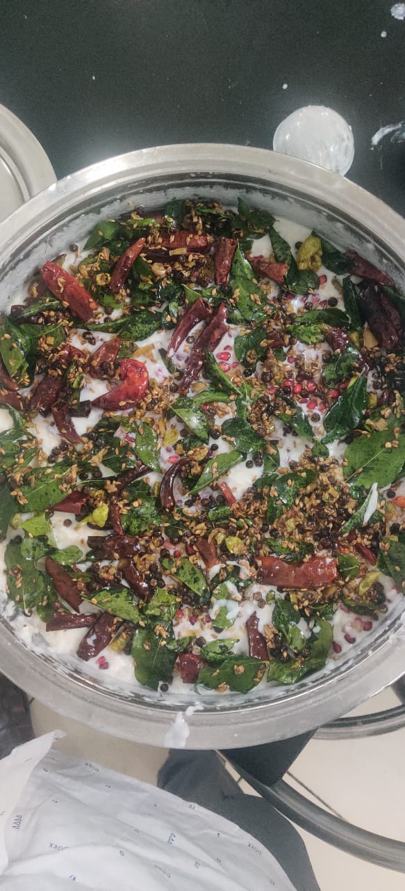 Curd Rice